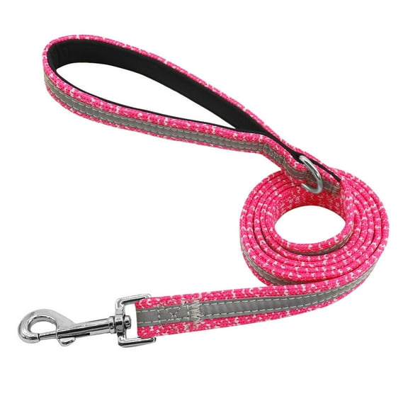 Didog 5ft Nylon Dog Leash Night Reflective Pet Lead for Small Medium Dogs Walking Training