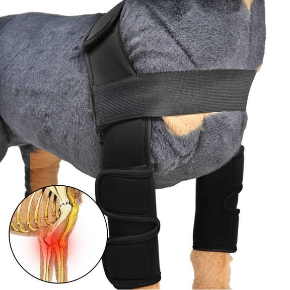 Didog Black Dog Front Legs Brace Hock Wraps Bandage --Help Wounds Compression Joint Wrap Wounds Elbow Protector