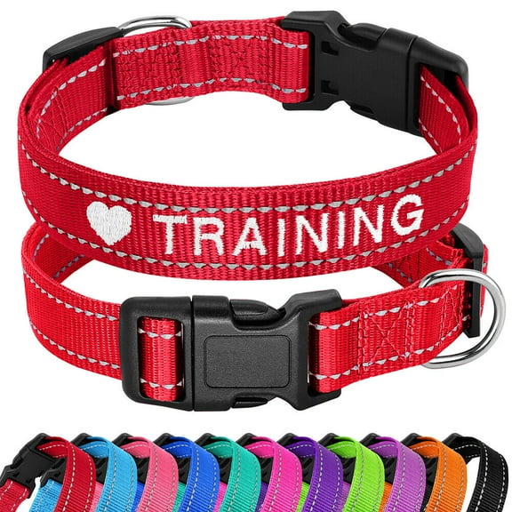 Didog Custom Personalized Dog Collar Embroidered Pet ID Name Number Reflective Nylon