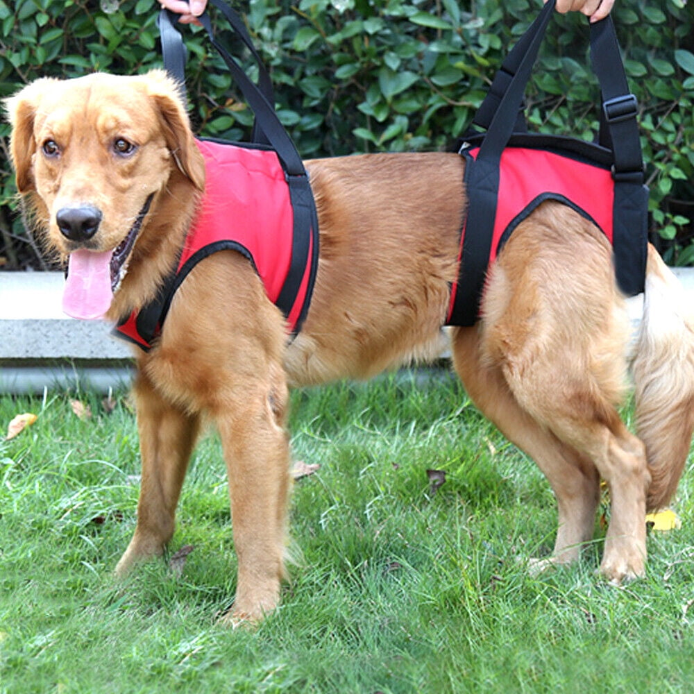 Didog Dog Lift Harness Support Sling Help Dogs with Weak Legs Back