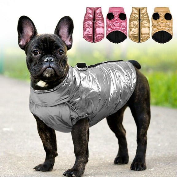Didog Dog Puffer Coat for Small Dogs Waterproof Winter Clothes Puppy Jacket Jack Russell Pug