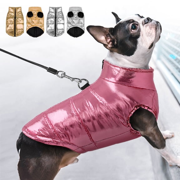 Didog Dog Puffer Coat for Small Dogs Waterproof Winter Clothes Puppy Jacket Jack Russell Pug