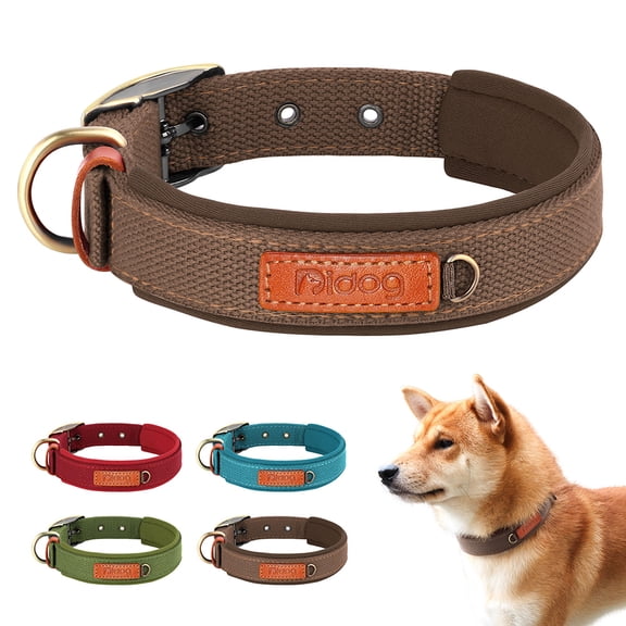 Didog Durable Nylon Dog Collar Soft Webbing Adjustable for Small/Medium/Large Breeds,Secure Buckle with Metal Ring for Leash