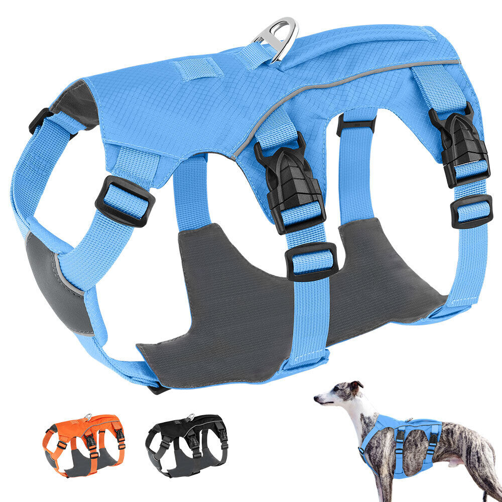Didog Escapeproof Nylon Dog Harness Reflective No Pull Adjustable Pet Vest Waterproof Soft Padded No Choke Sport Training Vest Black Blue Orange Walmart