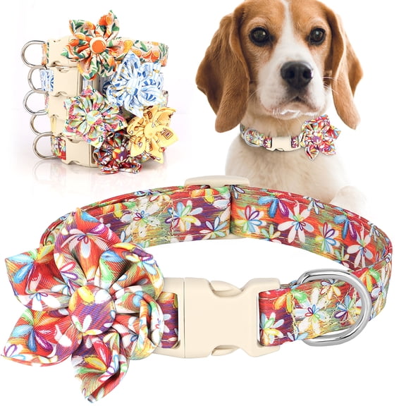 Didog Fabric Dog Collar with Removable Flower Adjustable for Small Medium Large Dogs