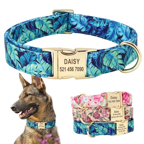 Didog Fabric Fancy Floral Dog Cat Collar Metal Gold Buckle D Ring Collar for Small Large Dogs
