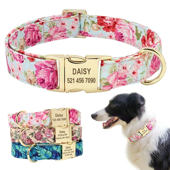 Didog Fabric Fancy Floral Dog Cat Collar Metal Gold Buckle D Ring Collar for Small Large Dogs