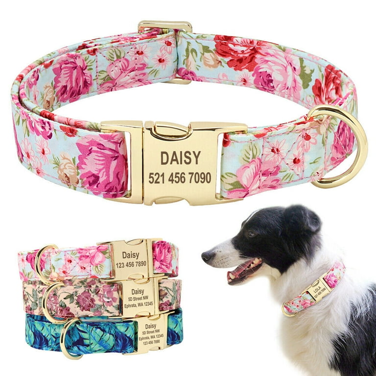 Didog Fabric Fancy Floral Dog Cat Collar Metal Gold Buckle D Ring - Main Image