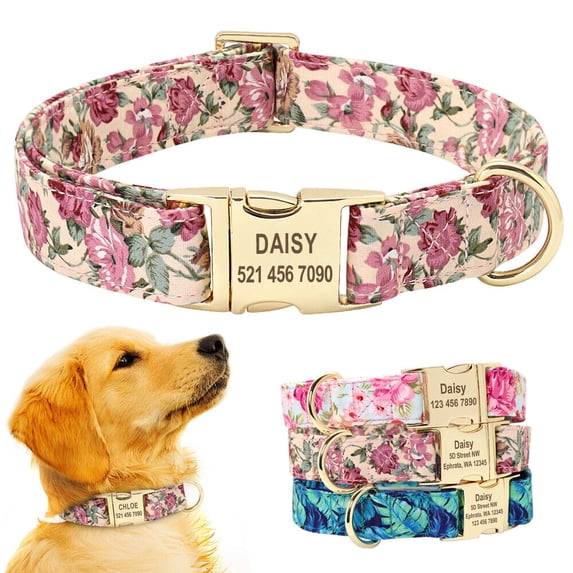 Didog Fabric Fancy Floral Dog Cat Collar Metal Gold Buckle D Ring Collar for Small Large Dogs