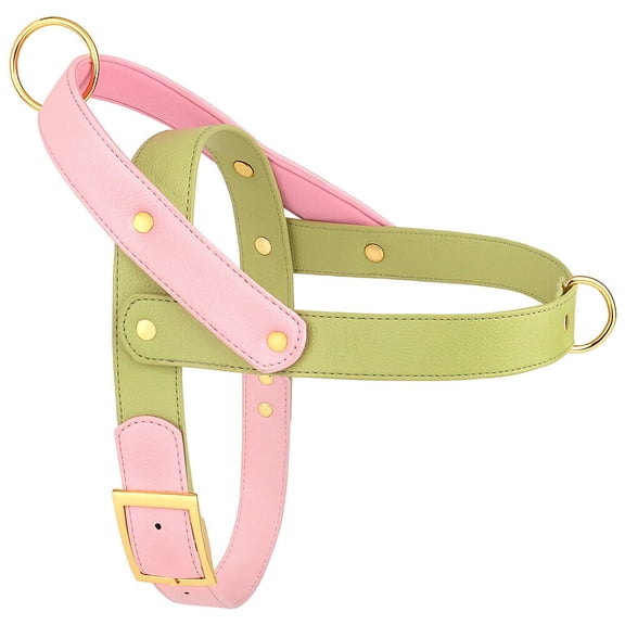 Didog Fashion No Pull Front Leading Dog Harness Soft Leather Adjustable Chest Vest with Handle