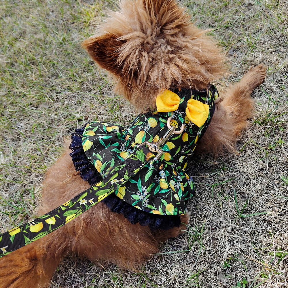 Didog Female Dog Harness Dress and Leash Fancy Small Pet Cat Summer Vest Clothes Yorkie