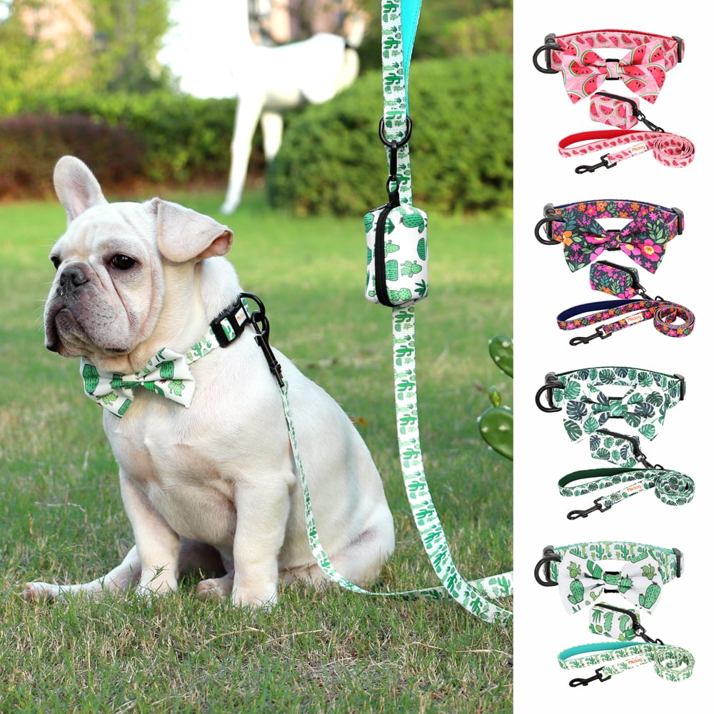 Didog Floral Cute Bowtie Dog Collar & Leash & Poop Bags Holder Adjustabale for Puppy
