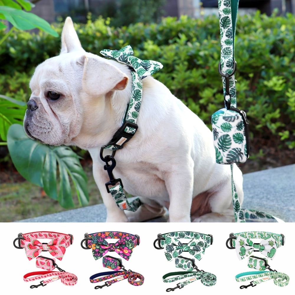Didog Floral Cute Bowtie Dog Collar & Leash & Poop Bags Holder Adjustabale for Puppy