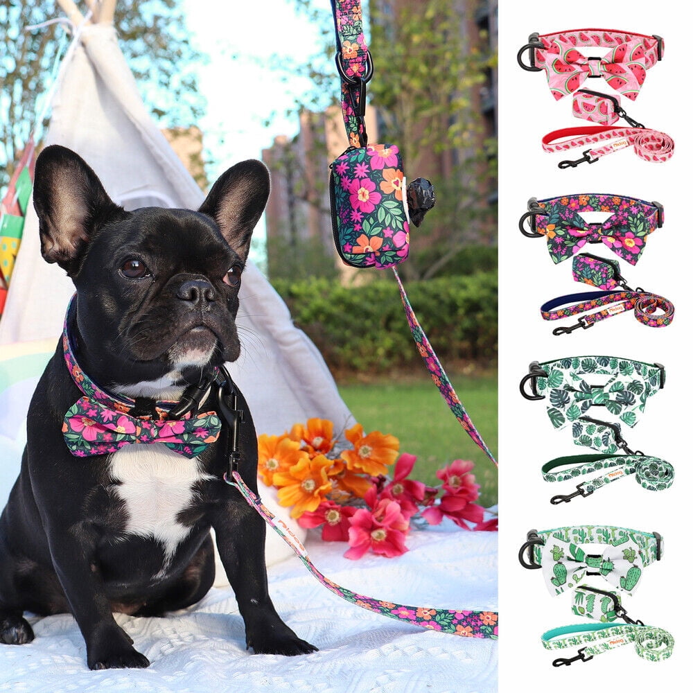 Didog Floral Cute Bowtie Dog Collar & Leash & Poop Bags Holder Adjustabale for Puppy