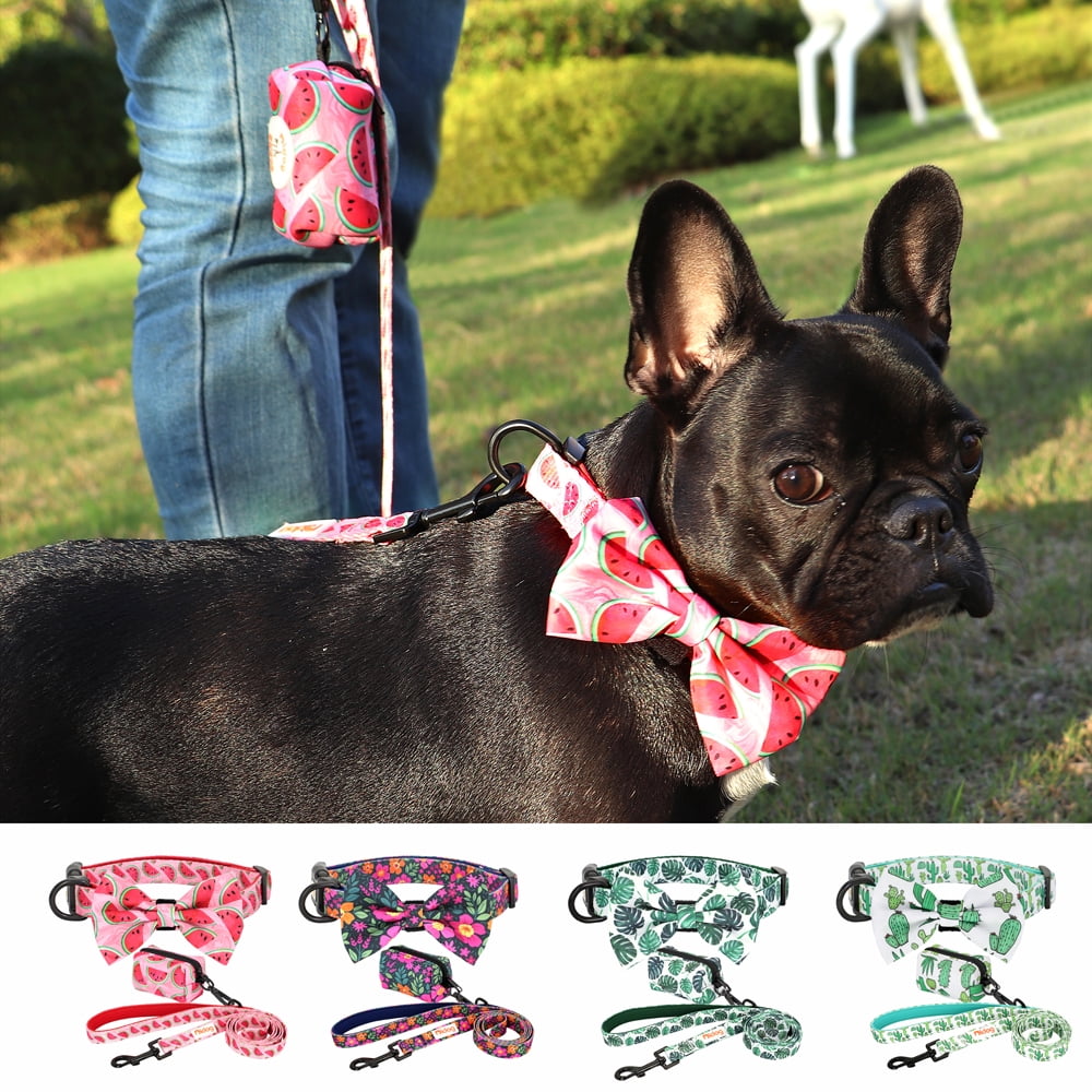 Didog Floral Cute Bowtie Dog Collar & Leash & Poop Bags Holder Adjustabale for Puppy