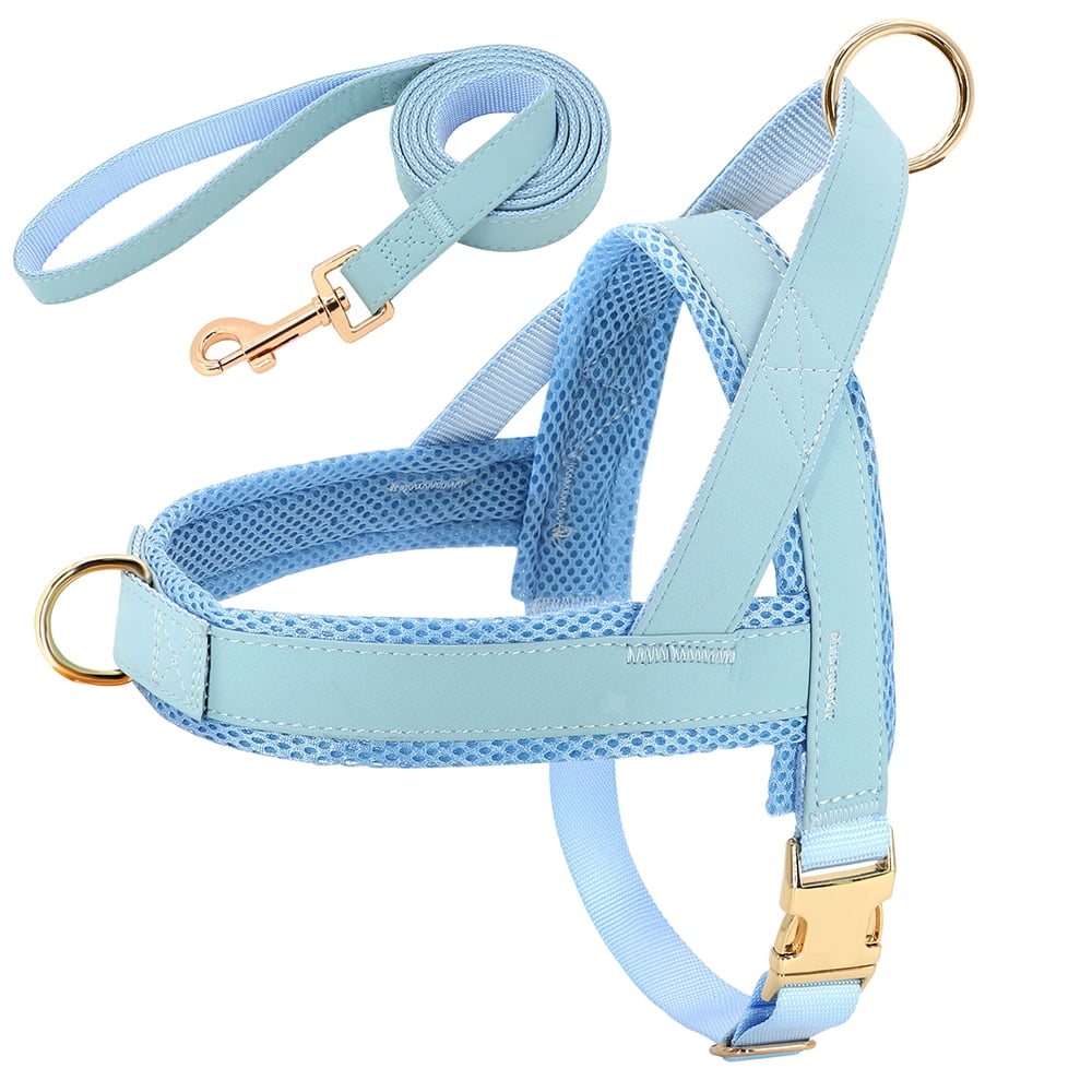 Didog Front Clip No Pull Dog Vest Harness and Leash set Adjustable Mesh Padded Heavy Duty Buckle