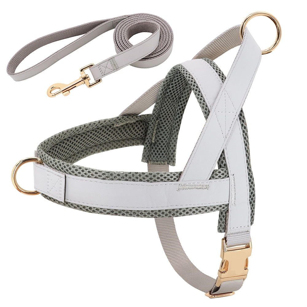 Didog Front Clip No Pull Dog Vest Harness and Leash set Adjustable Mesh Padded Heavy Duty Buckle