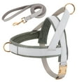 thumbnail image 1 of Didog Front Clip No Pull Dog Vest Harness and Leash set Adjustable Mesh Padded Heavy Duty Buckle, 1 of 5