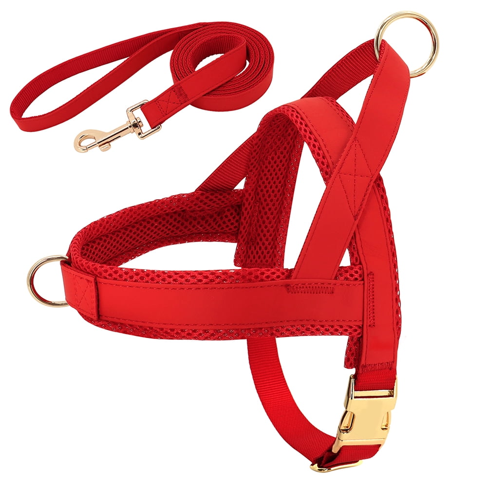 Didog Front Clip No Pull Dog Vest Harness and Leash set Adjustable Mesh Padded Heavy Duty Buckle
