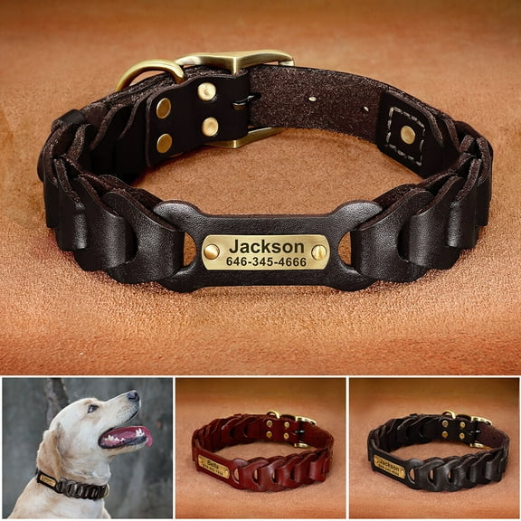 Didog Genuine Leather Braided Dog Collar with Custom Name Plate Heavy Duty Buckle L-XL