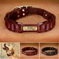 thumbnail image 1 of Didog Genuine Leather Braided Dog Collar with Custom Name Plate Heavy Duty Buckle L-XL, 1 of 14