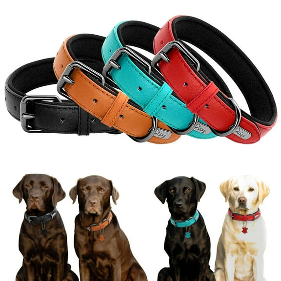 Didog Genuine Leather Dog Collar Soft Padded Adjustable for Small Medium Large Breeds Jack Russell Boxer