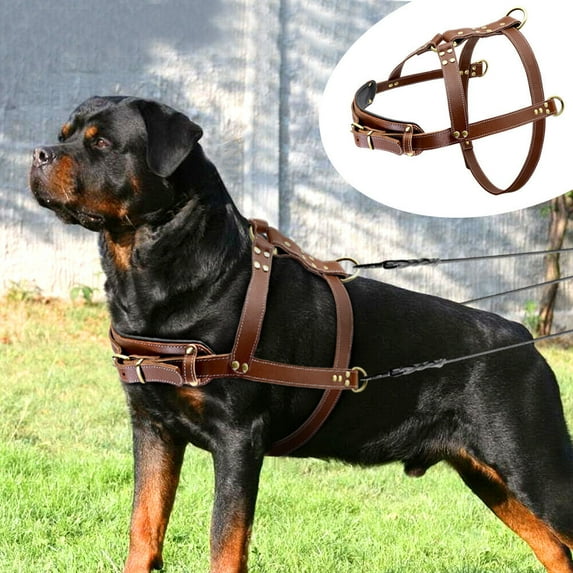 Didog Genuine Leather Dog Harness Strong Pulling Sledding Vest for Training Heavy Duty
