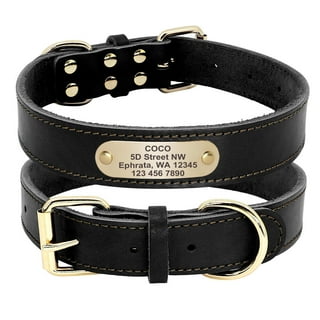 Digoo dog training collar sales