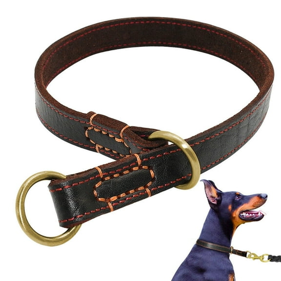 Didog Genuine Leather Slip Choke Dog Collars Pet Dog Training Choker for Doberman Labrador