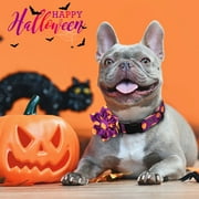 Didog Halloween Pet Dog Collar with Cute Flower Pumpkin Ghost Boy Girl Adjustable S M L