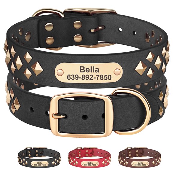 Didog Leather Personalised Dog Collar Engraved Nameplate for Small Medium Large Dogs