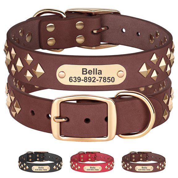 Didog Leather Personalised Dog Collar Engraved Nameplate for Small Medium Large Dogs