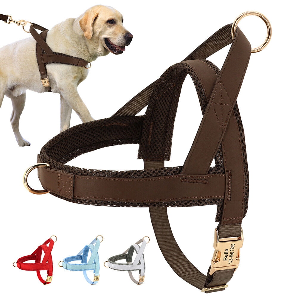 Didog No Pull Dog Harness Personalized Name Buckle Engraved Breathable Mesh Red Blue