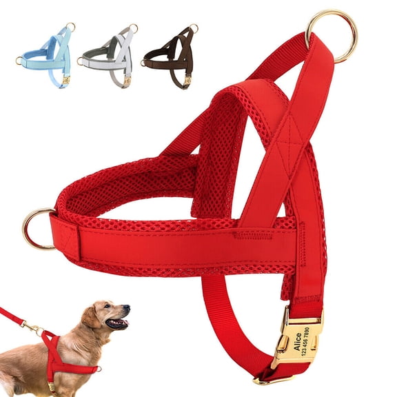 Didog No Pull Dog Harness Personalized Name Buckle Engraved Breathable Mesh Red Blue
