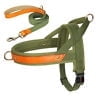 Didog No Pull Dog Harness and Leash set Soft Padde Nylon Adjustable with Control Handle