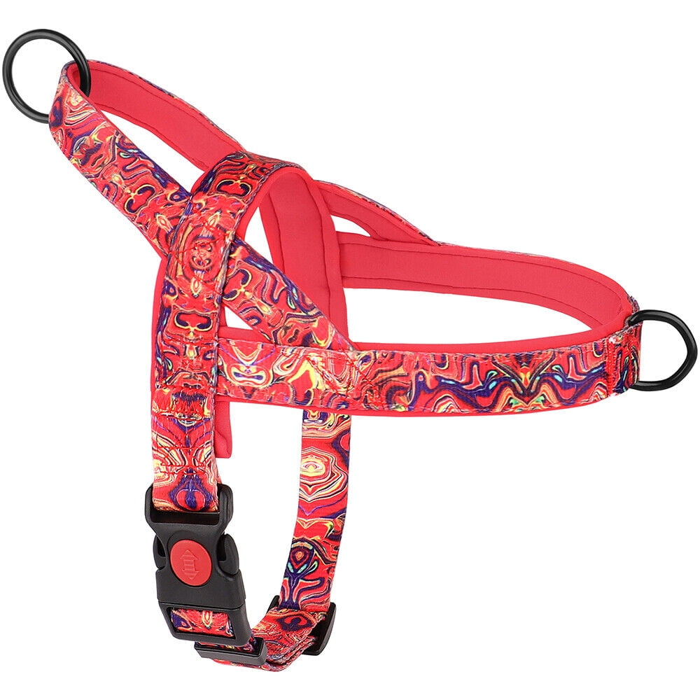 Didog No Pull Dog Harness with Soft Padded Handle Front Leading Safety