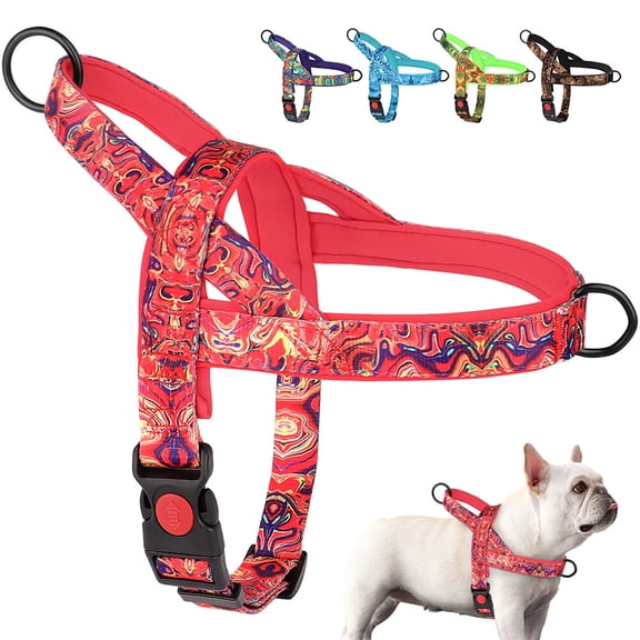 Didog Non-Pulling Nylon Dog Harness with Soft Padded Handle Front Leading Safety Escape Proof Quick Fit Buckle,Adjustable Pet Strap Vest, Easy for Walking,Vibrant colors