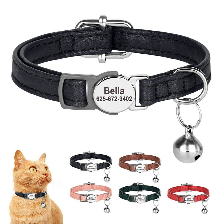 Personalized kitten collar sale