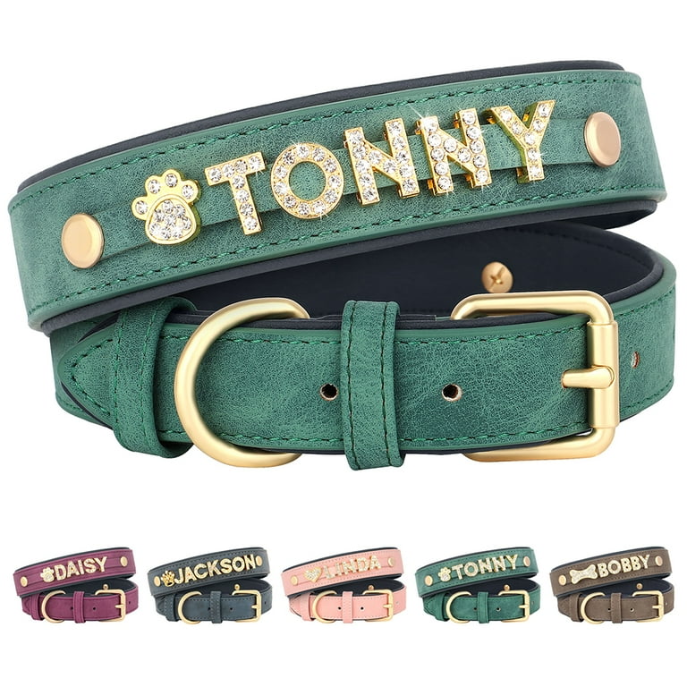 Didog Personalized Diamond Dog Collar with Golden Bling