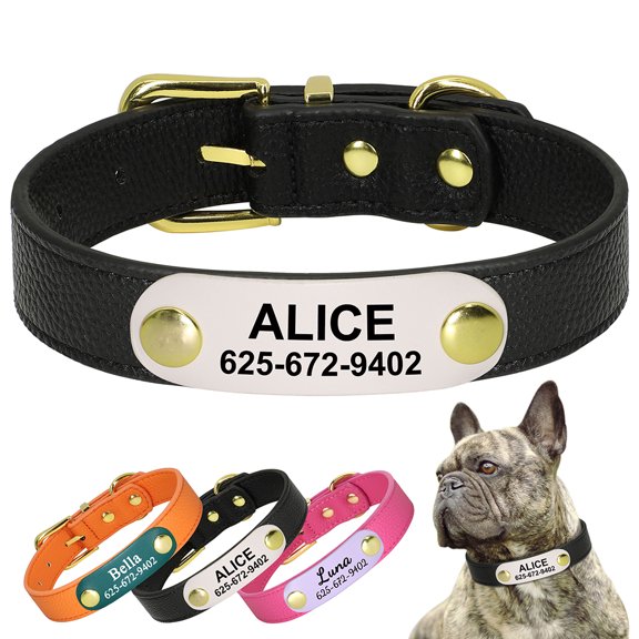 Didog Personalized Dog Cat Leather Collar Pet Puppy Name Number Print for Small Dogs