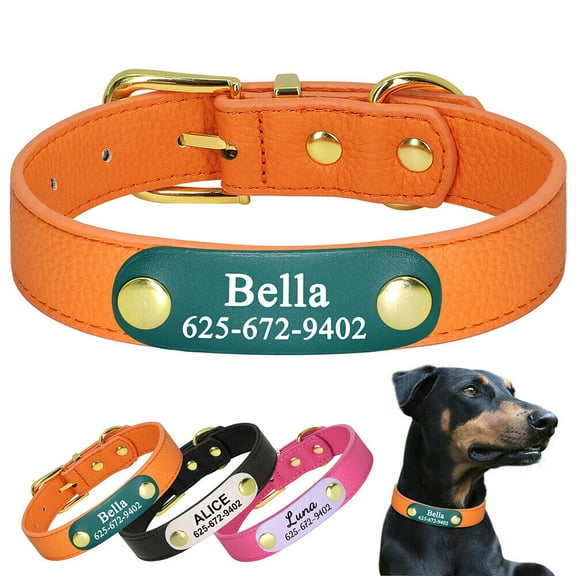 Didog Personalized Dog Cat Leather Collar Pet Puppy Name Number Print for Small Dogs