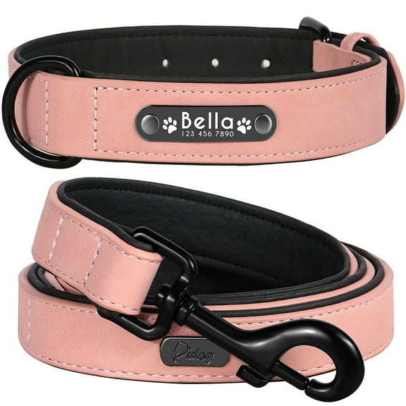 Didog Personalized Dog Collar and Leash Set Padded Leather Custom Engraved Name Collars