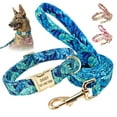 thumbnail image 1 of Didog Personalized Dog Collar and Leash set Pet Name ID Number Engraved Soft Padded Nylon, 1 of 6