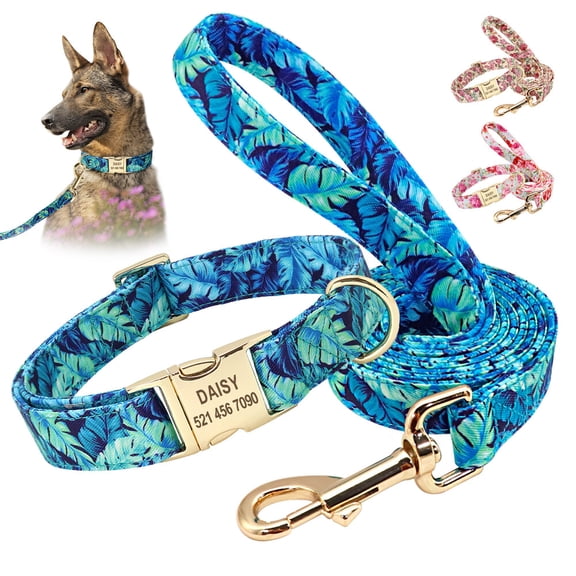 Didog Personalized Dog Collar and Leash set Pet Name ID Number Engraved Soft Padded Nylon