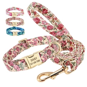Didog Personalized Dog Collar and Leash set Pet Name ID Number Engraved Soft Padded Nylon