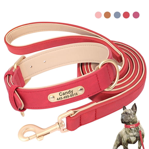 Didog Personalized Dog Collar and Leash set Soft Padded Leather for Small Medium Large Dogs Bulldog