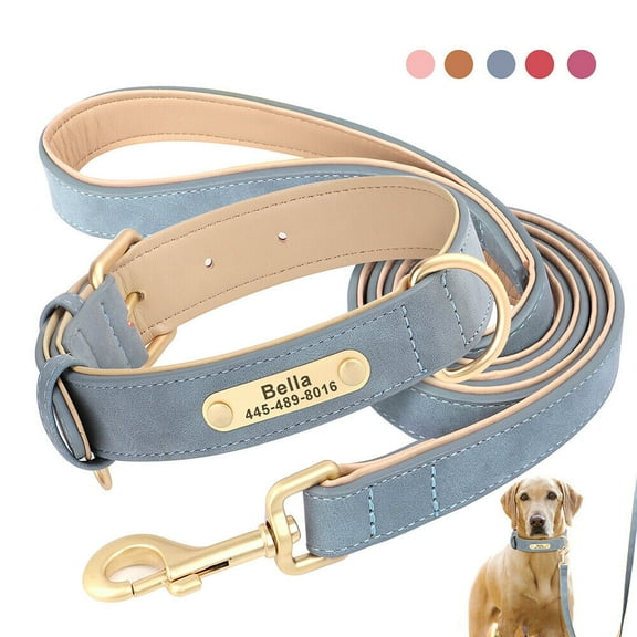 Didog Personalized Dog Collar and Leash set Soft Padded Leather for Small Medium Large Dogs Bulldog