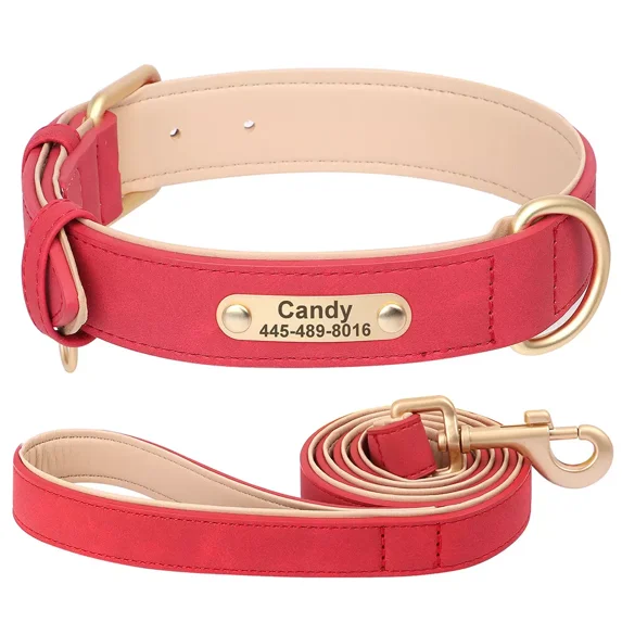 Didog Personalized Dog Collar and Leash set Soft Padded Leather for Small Medium Large Dogs Bulldog