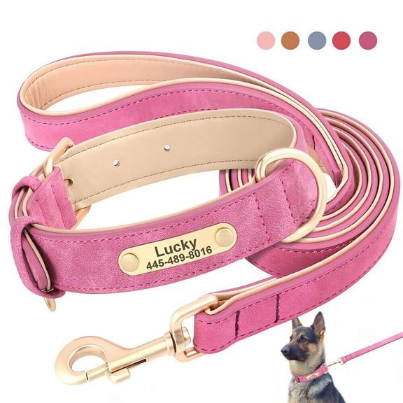 Didog Personalized Dog Collar and Leash set Soft Padded Leather for Small Medium Large Dogs Bulldog