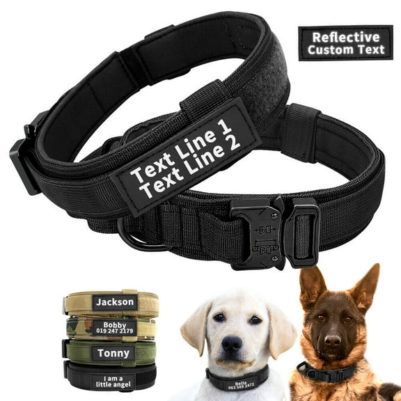 Didog Personalized Dog Pet Collar with Handle Custom Reflective Nameplate M-XL